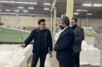 بازدید دکتر مهران فرزین از روند بازسازی کارخانه صنایع نساجی ایران پوپلین رشت و بررسی ظرفیتها و راهکارهای توسعه این شرکت