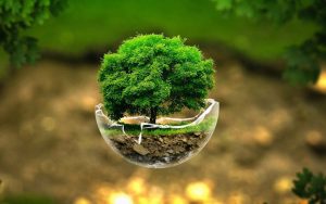 آموزه‌های یک حکم قضایی / اثر مطالبه گری تخصصی