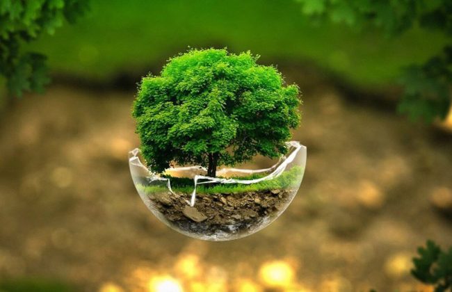 آموزه‌های یک حکم قضایی / اثر مطالبه گری تخصصی